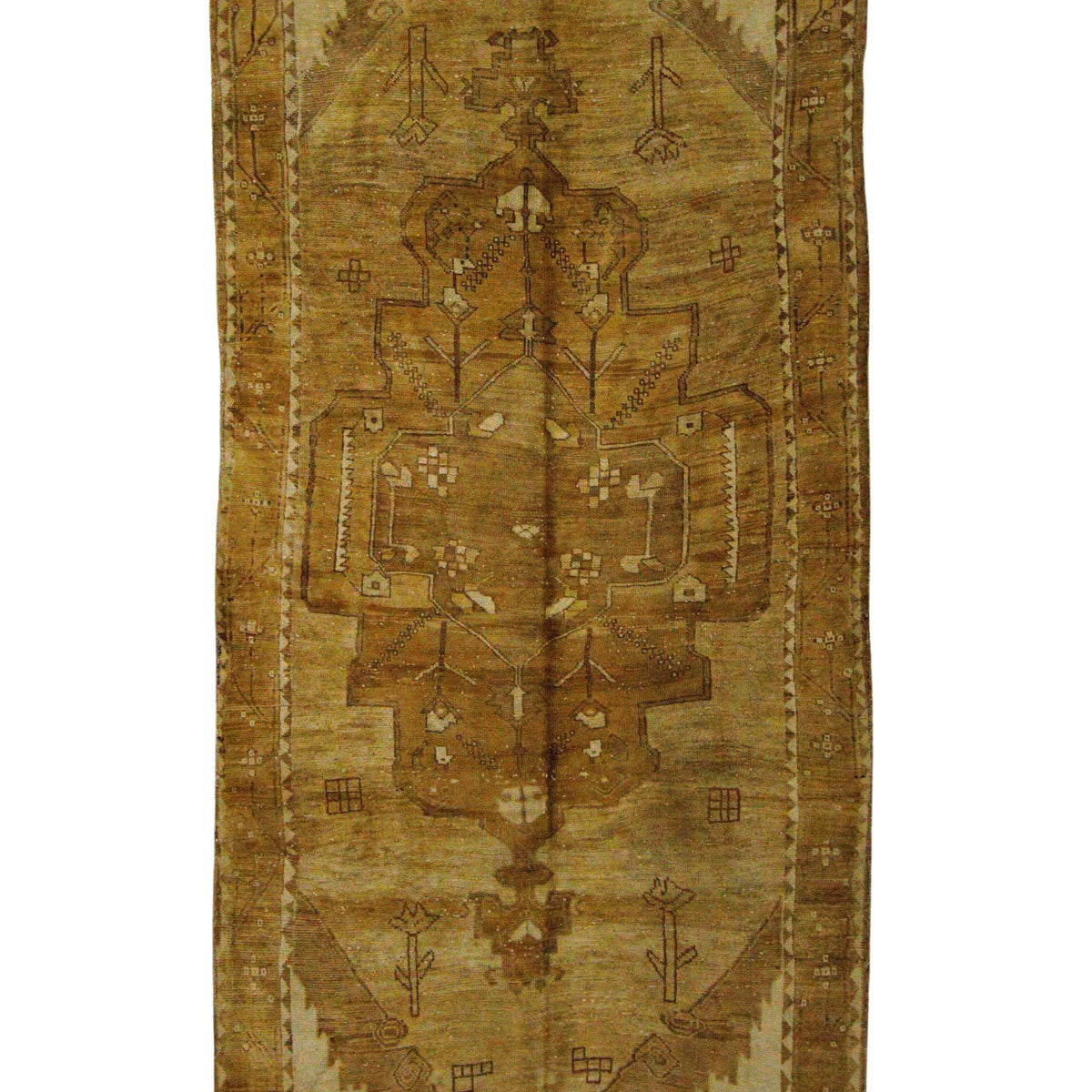 Pacific Kars  Camel Latte Transitional