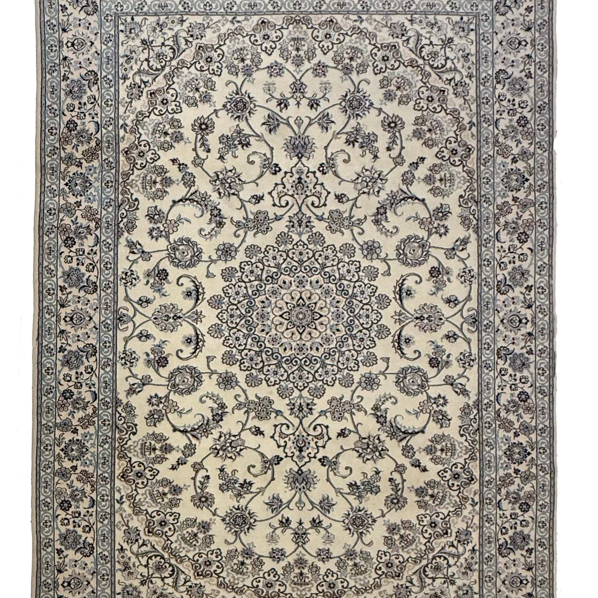 Pacific Nain  Ivory Ivory Traditional