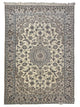 Pacific Nain  Ivory Ivory Traditional