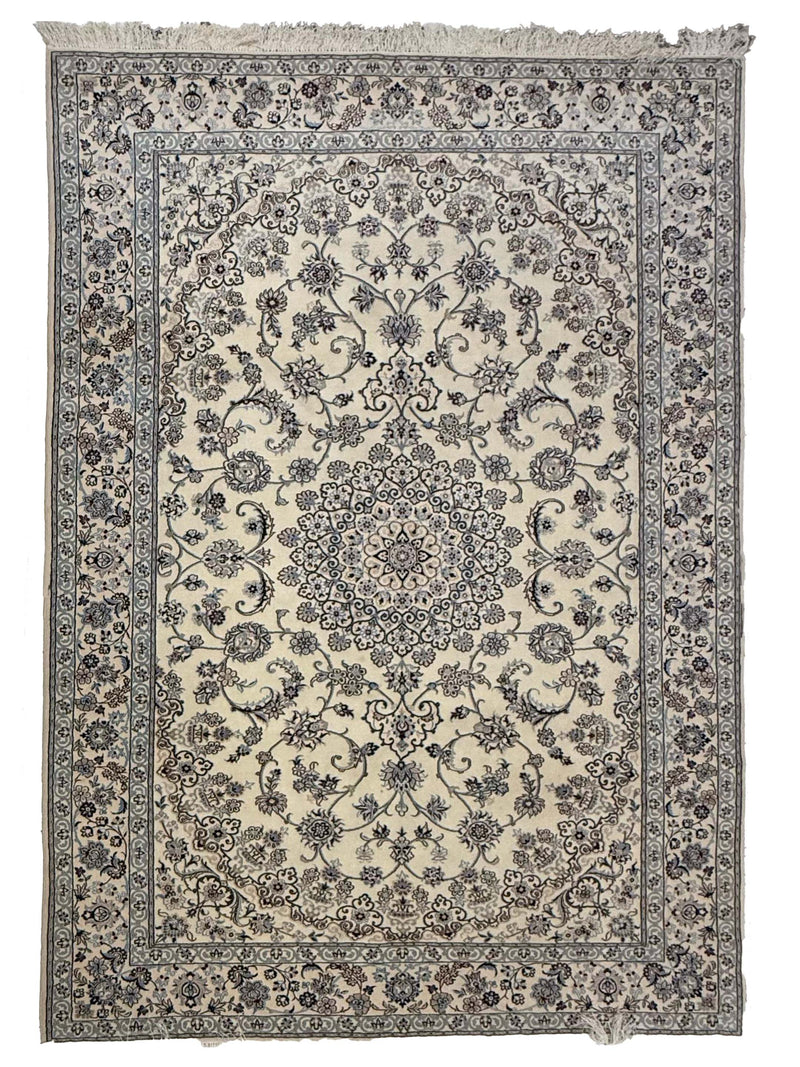 Pacific Nain  Ivory Ivory Traditional