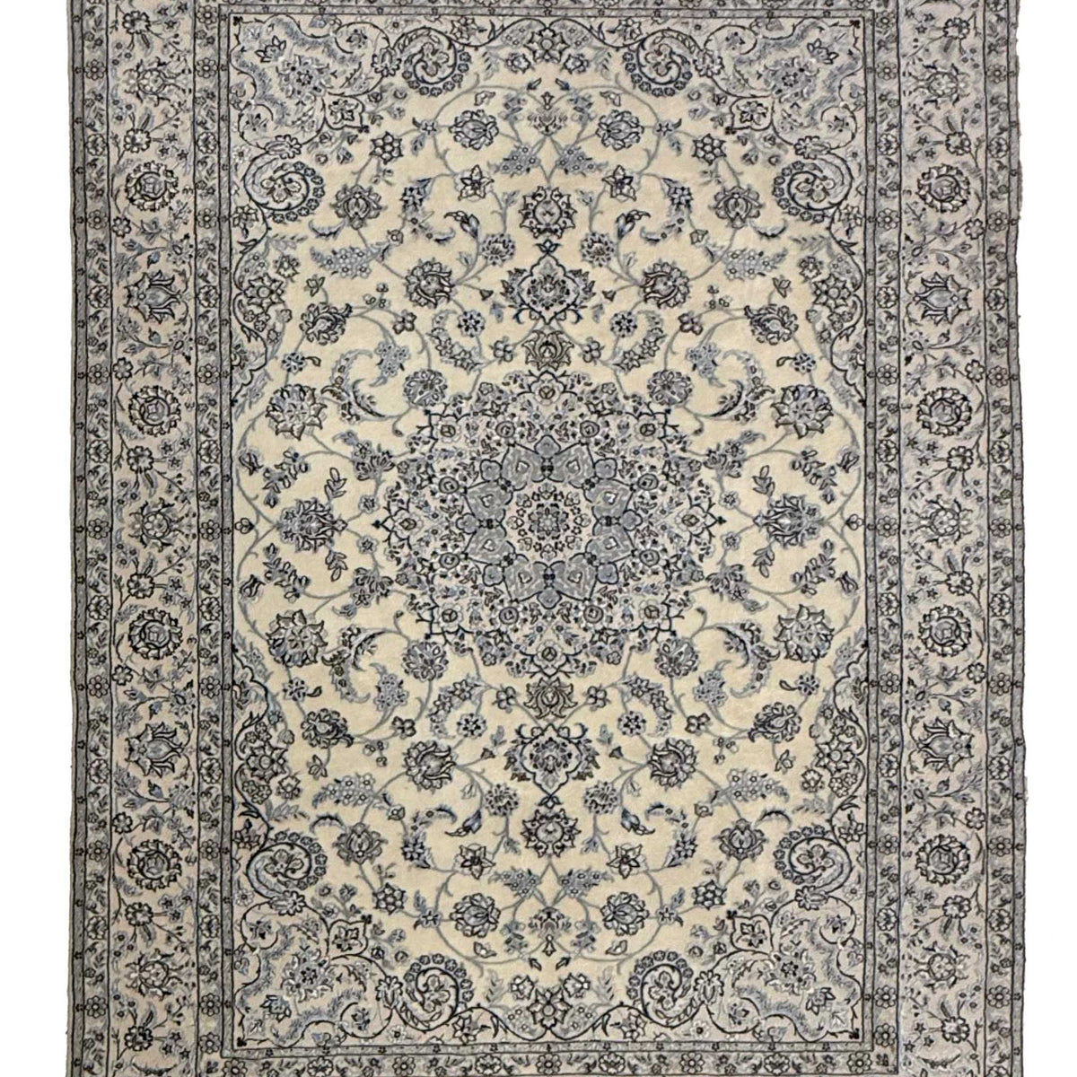 Pacific Nain  Ivory Ivory Traditional