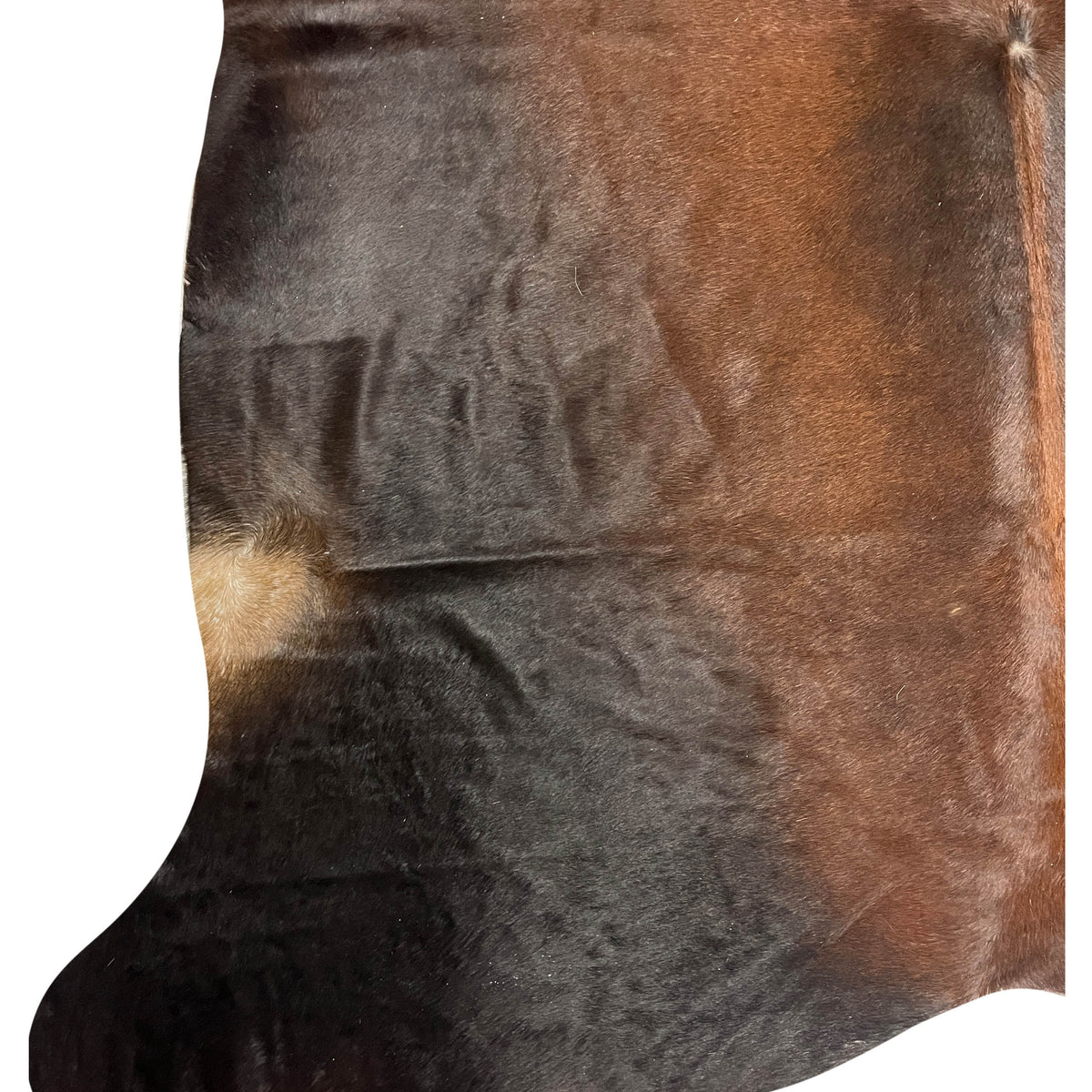 Aura Cowhide 75373 Mocha Beige Cowhide Cowhide Rug