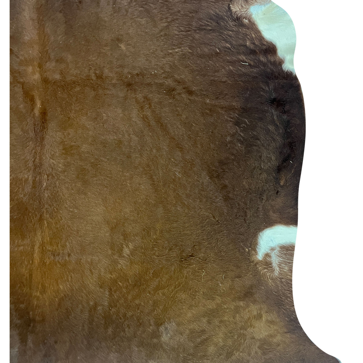 Aura Cowhide 75391 Brown Ivory Cowhide Cowhide Rug