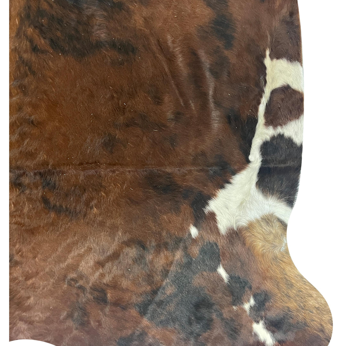 Aura Cowhide 75393 Brown Ivory Cowhide Cowhide Rug