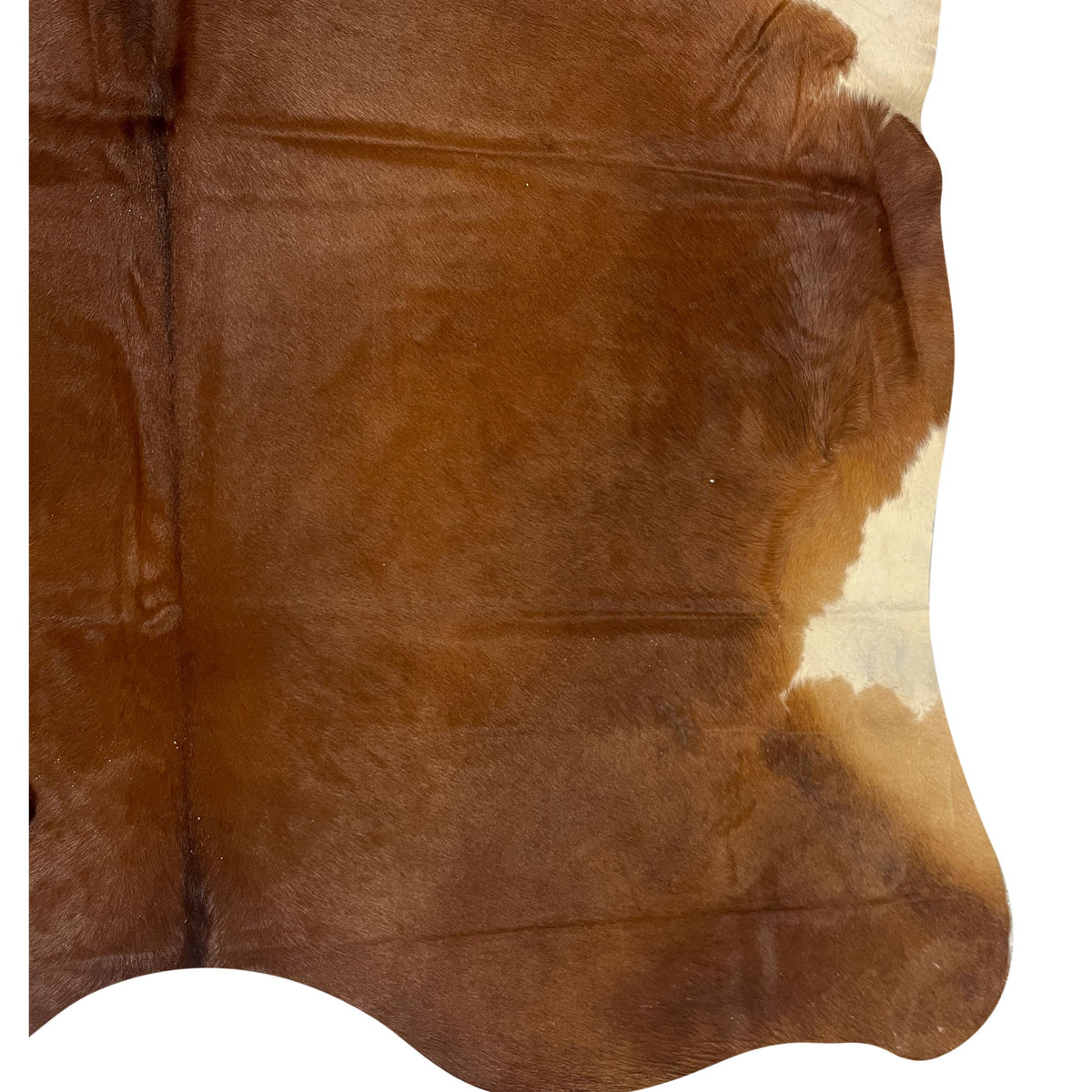 Aura Cowhide 75395 Brown Ivory Cowhide Cowhide Rug