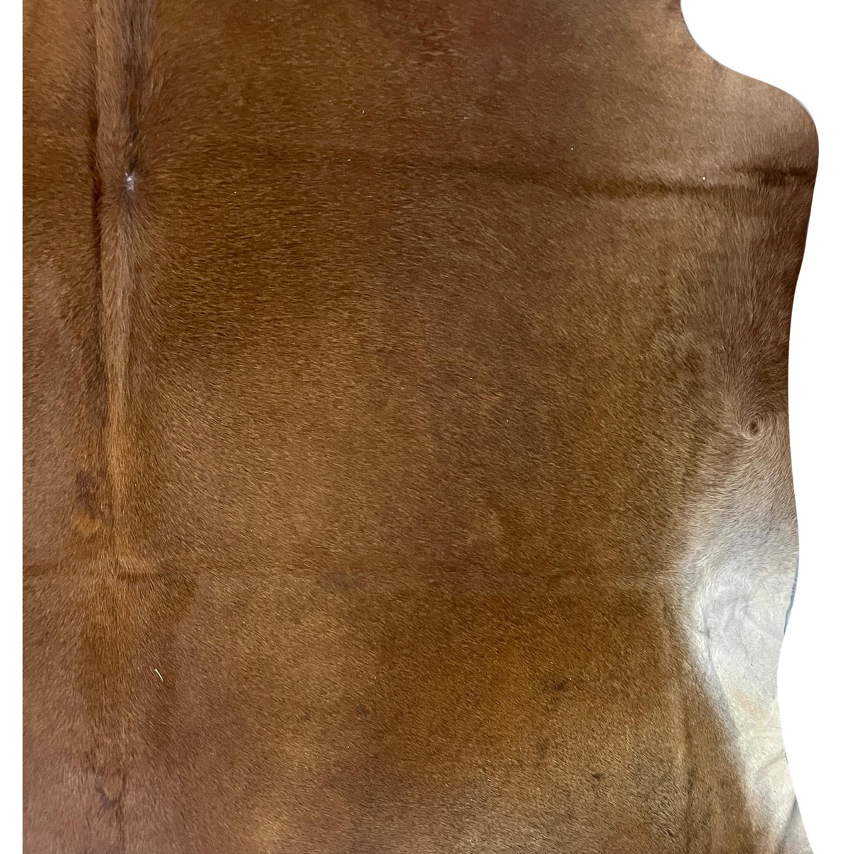 Aura Cowhide 75397 Brown Ivory Cowhide Cowhide Rug