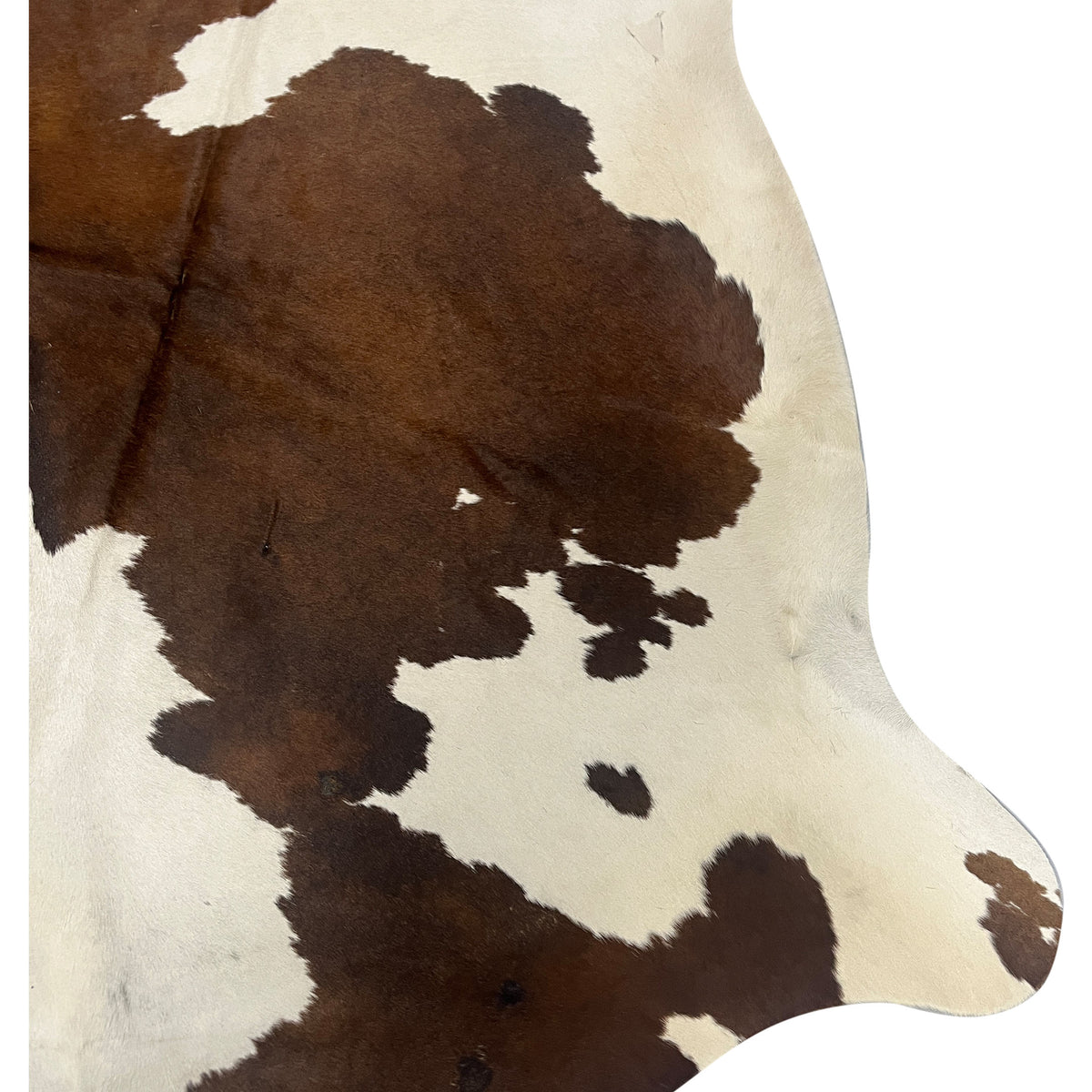 Aura Cowhide 75399 Ivory Brown Cowhide Cowhide Rug