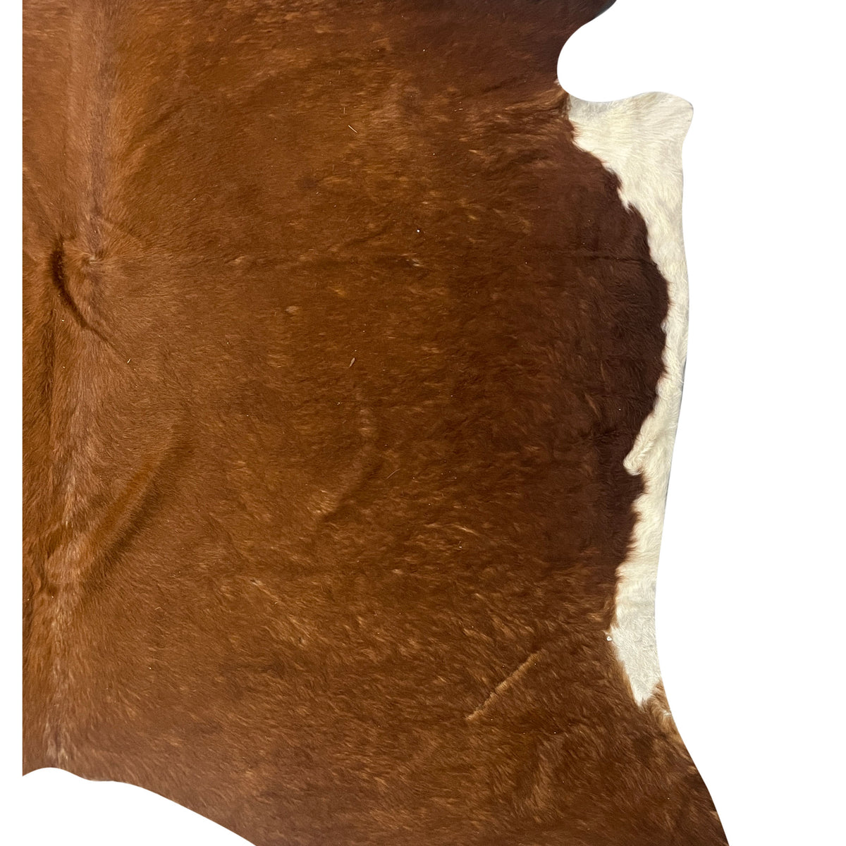 Aura Cowhide 75401 Brown Ivory Cowhide Cowhide Rug