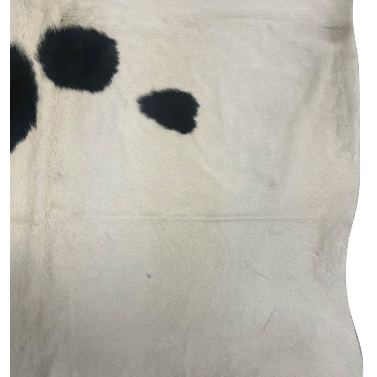 Aura Cowhide 75408 Ivory Black Cowhide Cowhide Rug