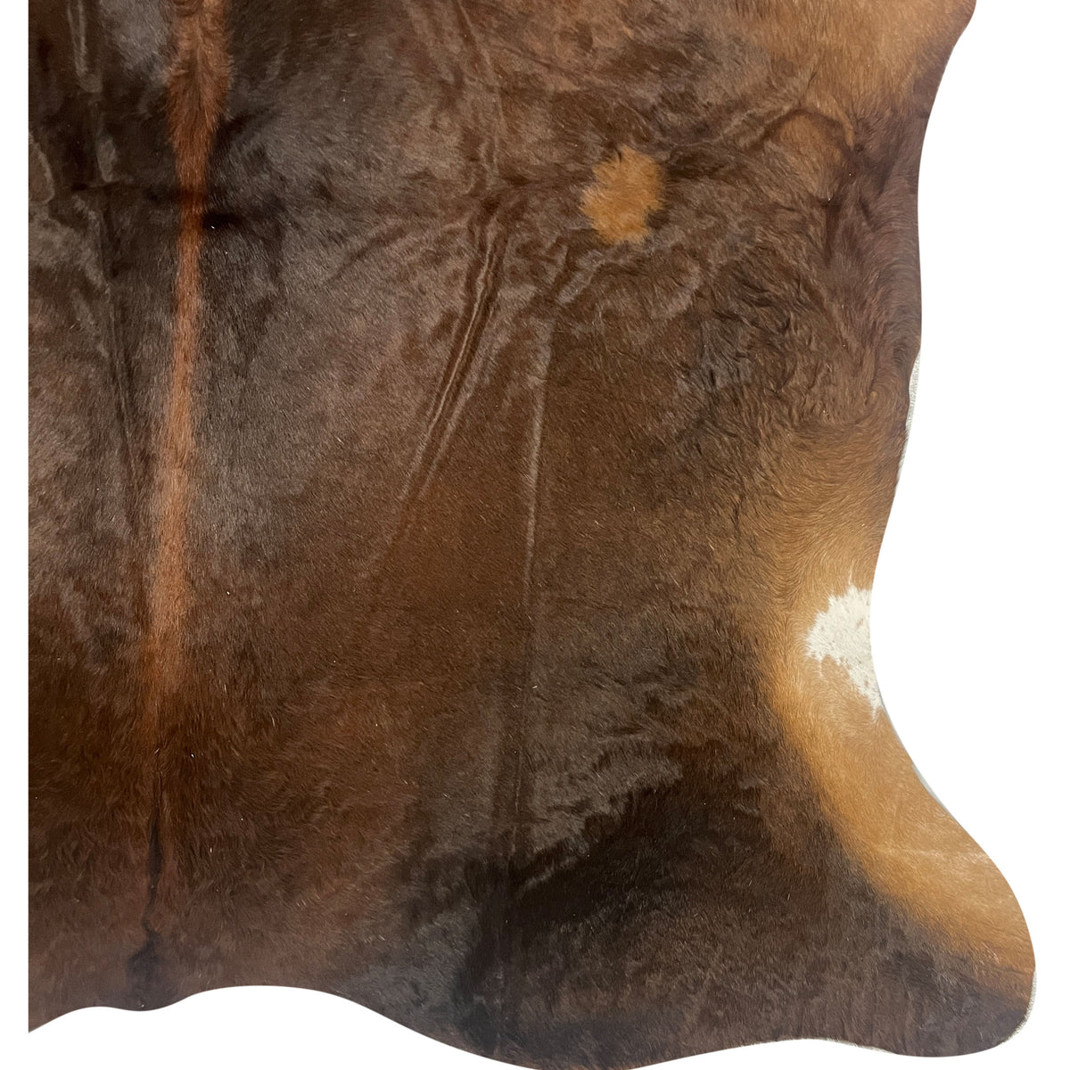 Aura Cowhide 75412 Brown Ivory Cowhide Cowhide Rug