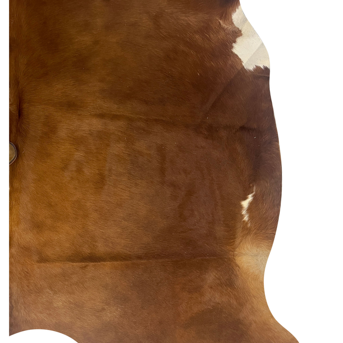 Aura Cowhide 75413 Brwon Ivory Cowhide Cowhide Rug