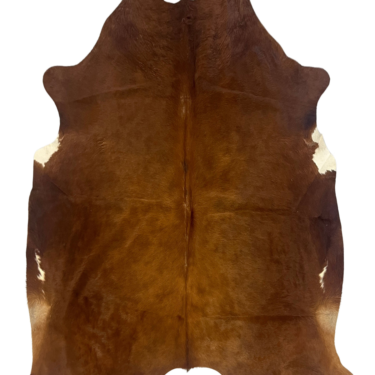Aura Cowhide 75413 Brwon Ivory Cowhide Cowhide Rug