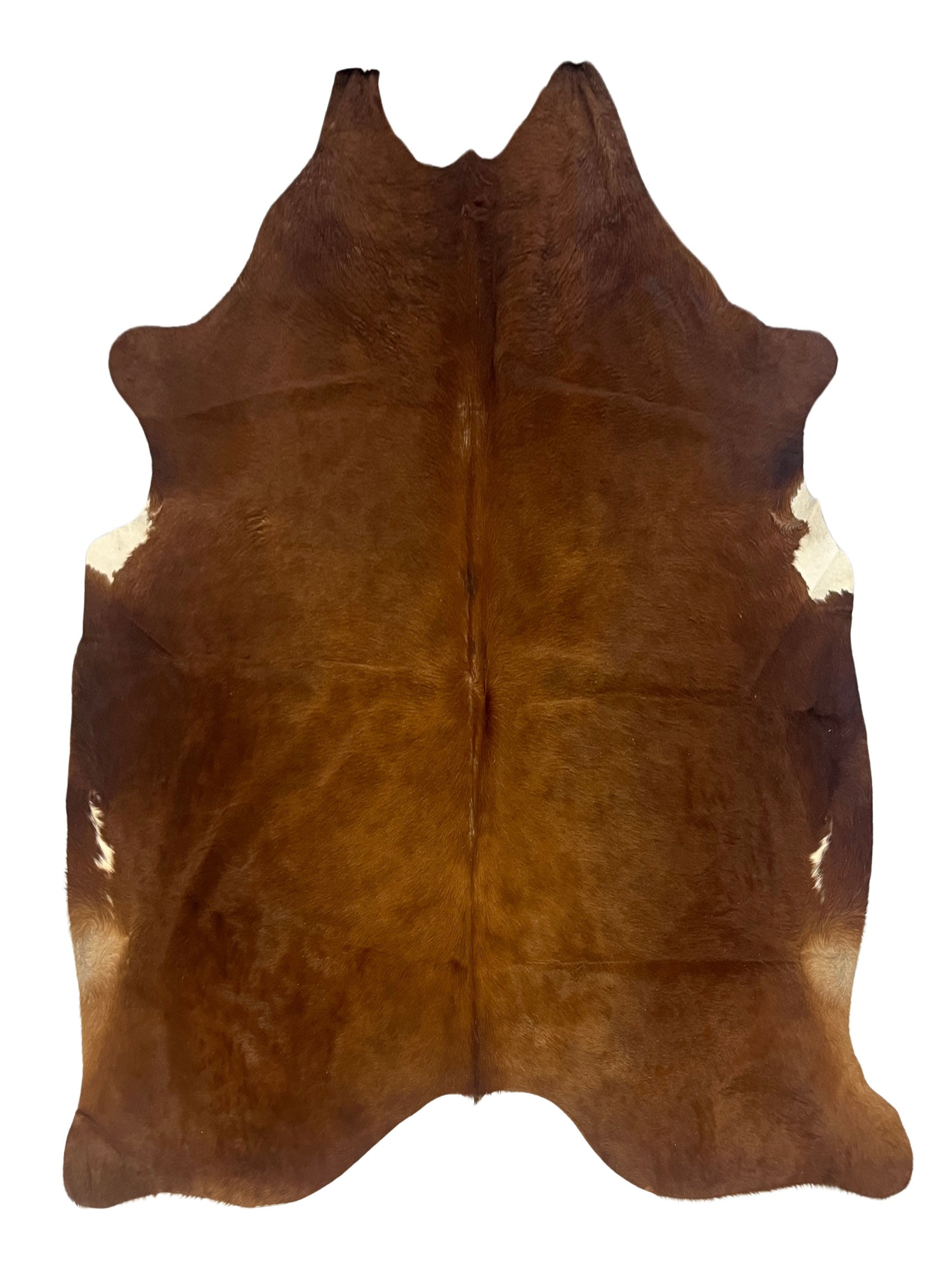 Aura Cowhide 75413 Brwon Ivory Cowhide Cowhide Rug