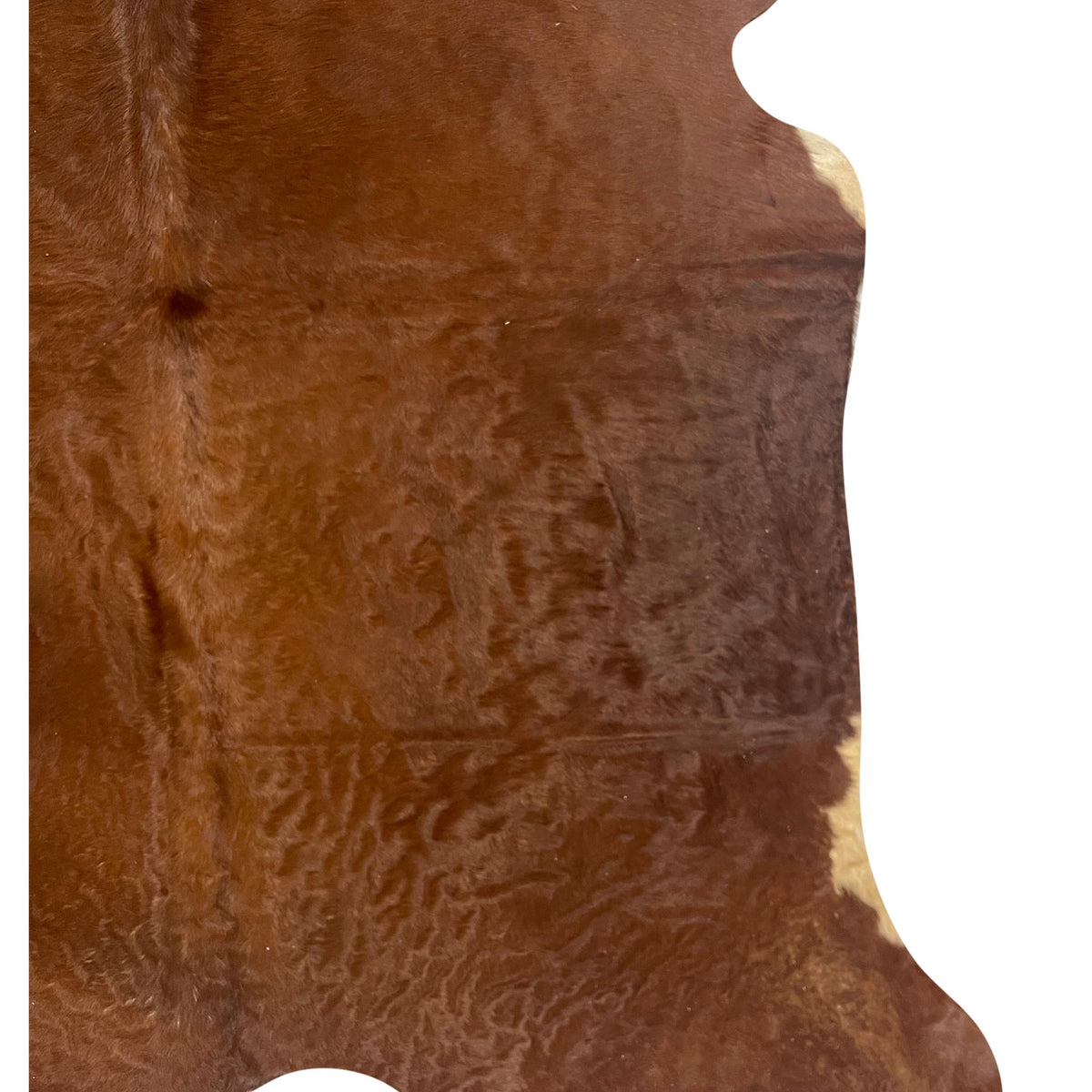 Aura Cowhide 75418 Brown Ivory Cowhide Cowhide Rug
