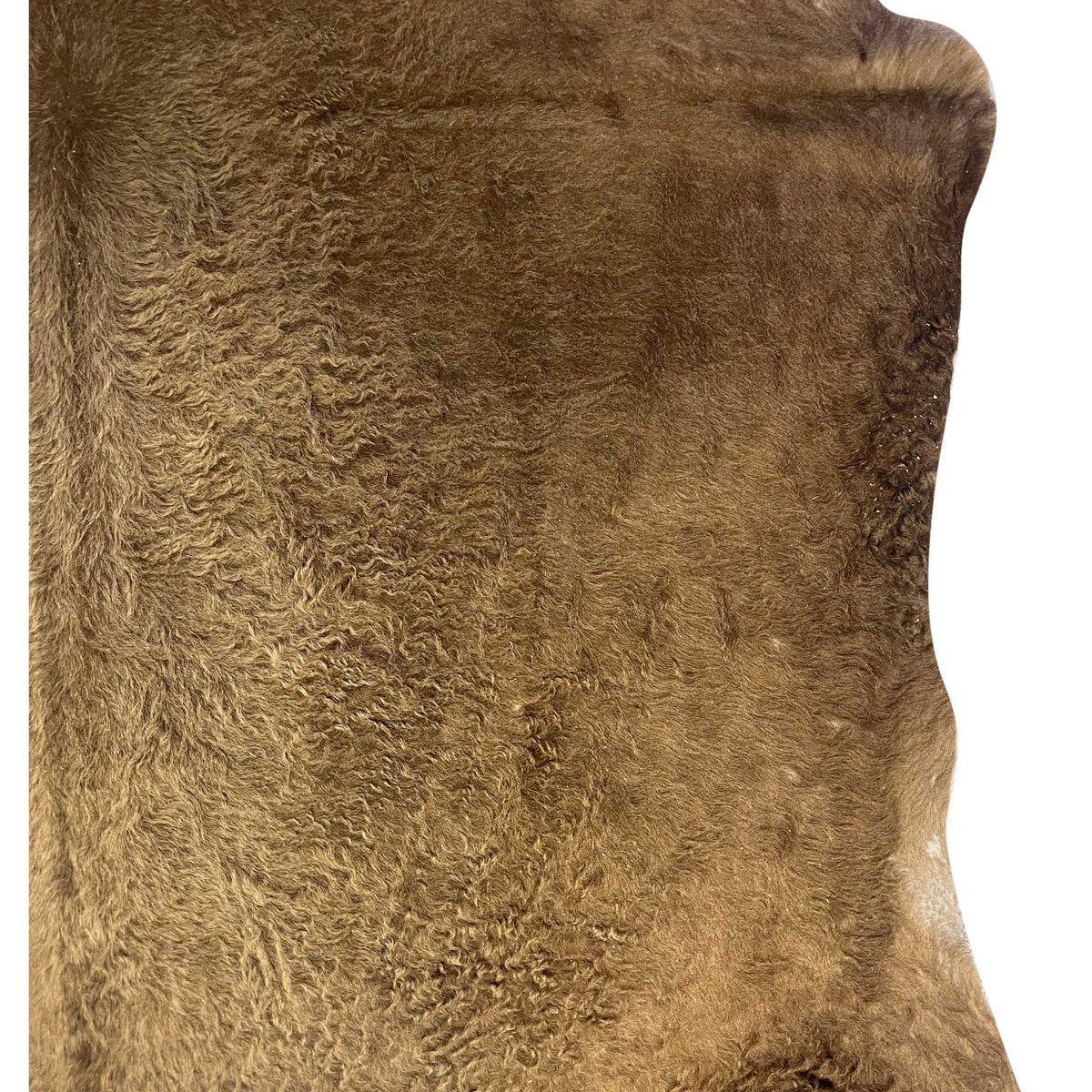 Aura Cowhide 75422 Camel Brown Cowhide Cowhide Rug