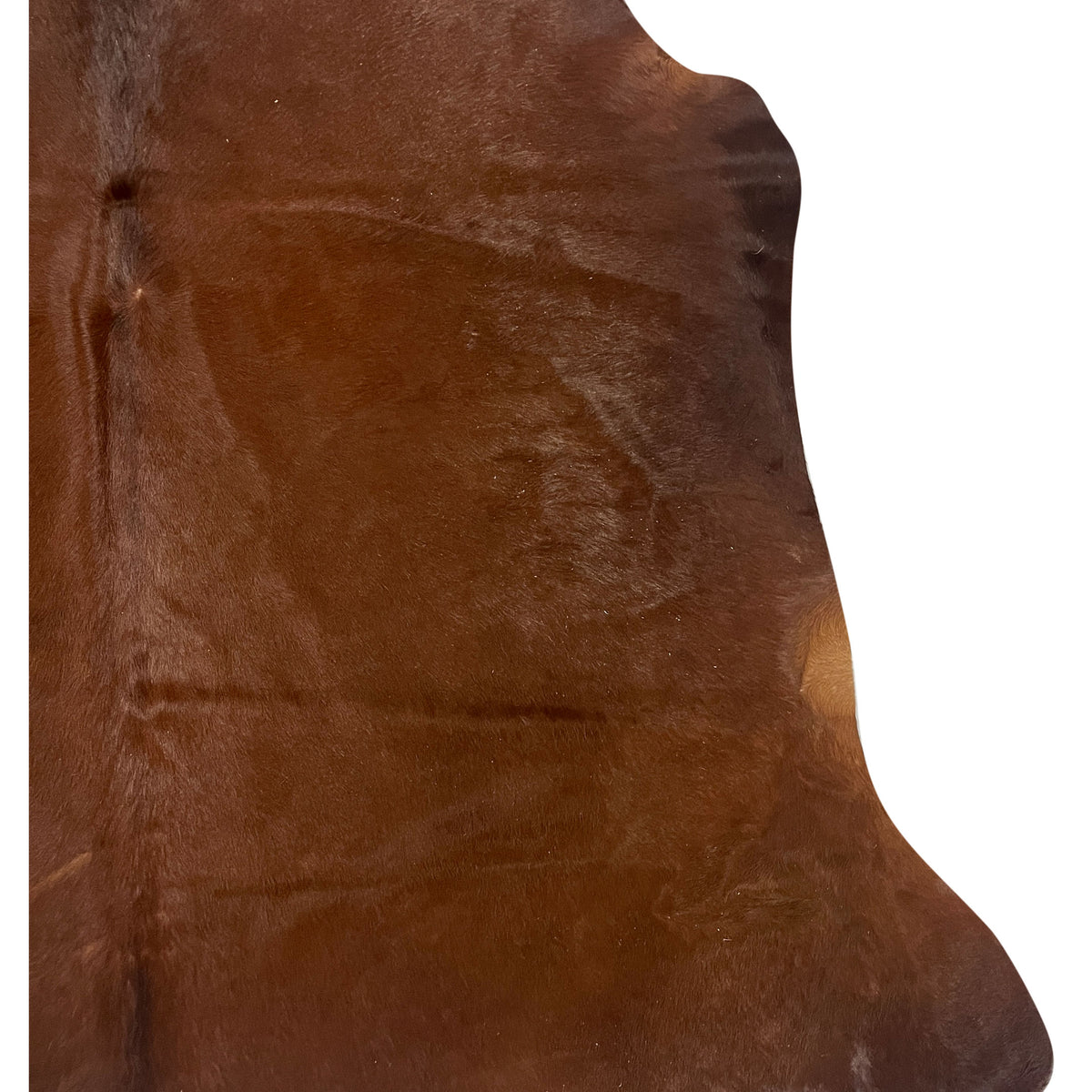 Aura Cowhide 75427 Brown Ivory Cowhide Cowhide Rug