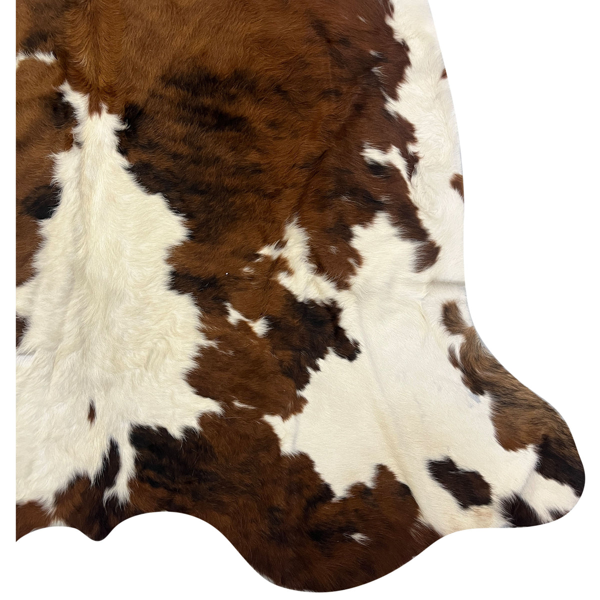 Aura Cowhide 75429 Ivory Brown Cowhide Cowhide Rug