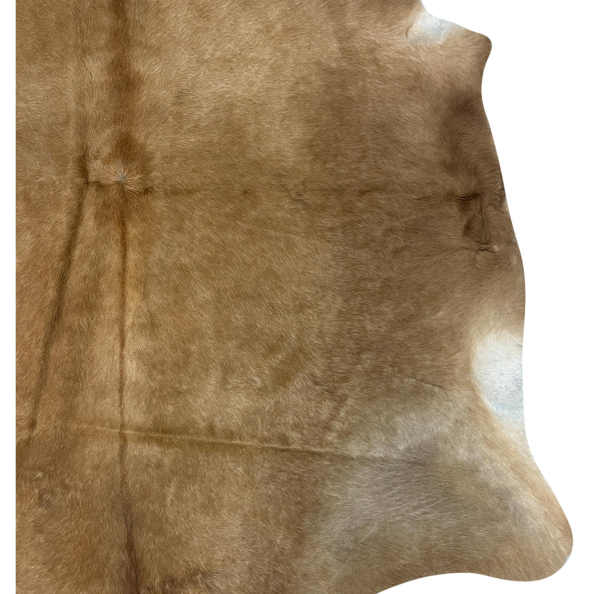 Aura Cowhide 75430 Camel Ivory Cowhide Cowhide Rug