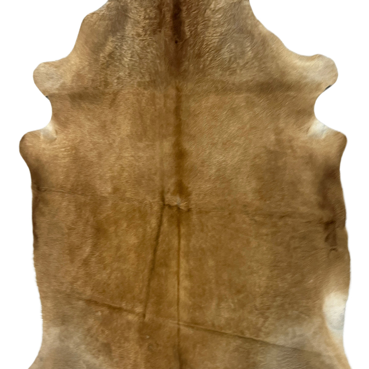 Aura Cowhide 75430 Camel Ivory Cowhide Cowhide Rug