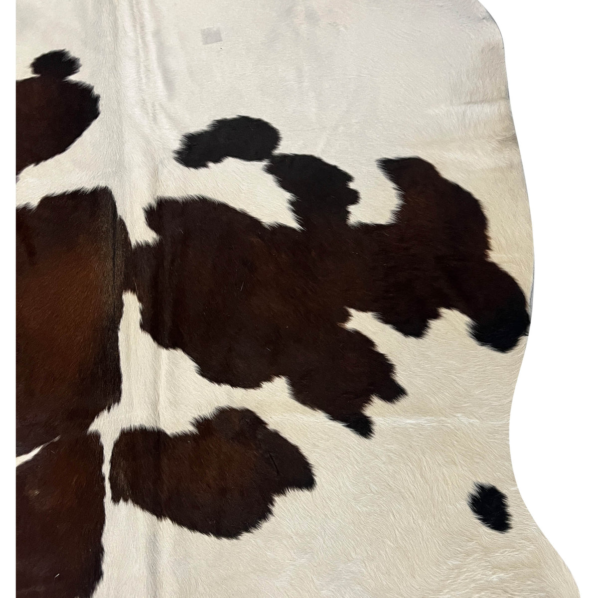 Aura Cowhide 75436 Ivory Espresso Cowhide Cowhide Rug
