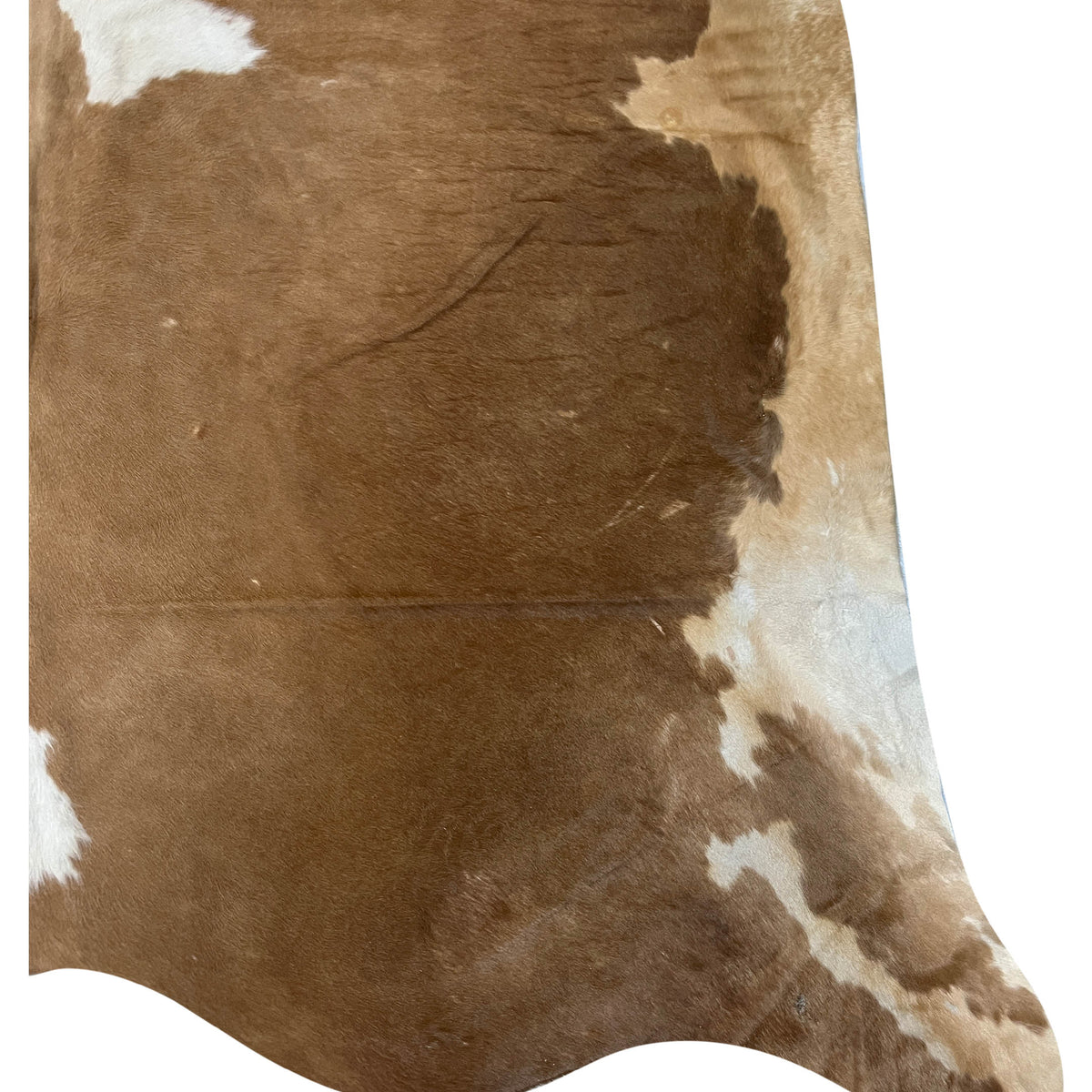 Aura Cowhide 75438 Camel Ivory Cowhide Cowhide Rug