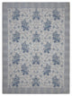 Aura Sisillia  Blue Chen Transitional