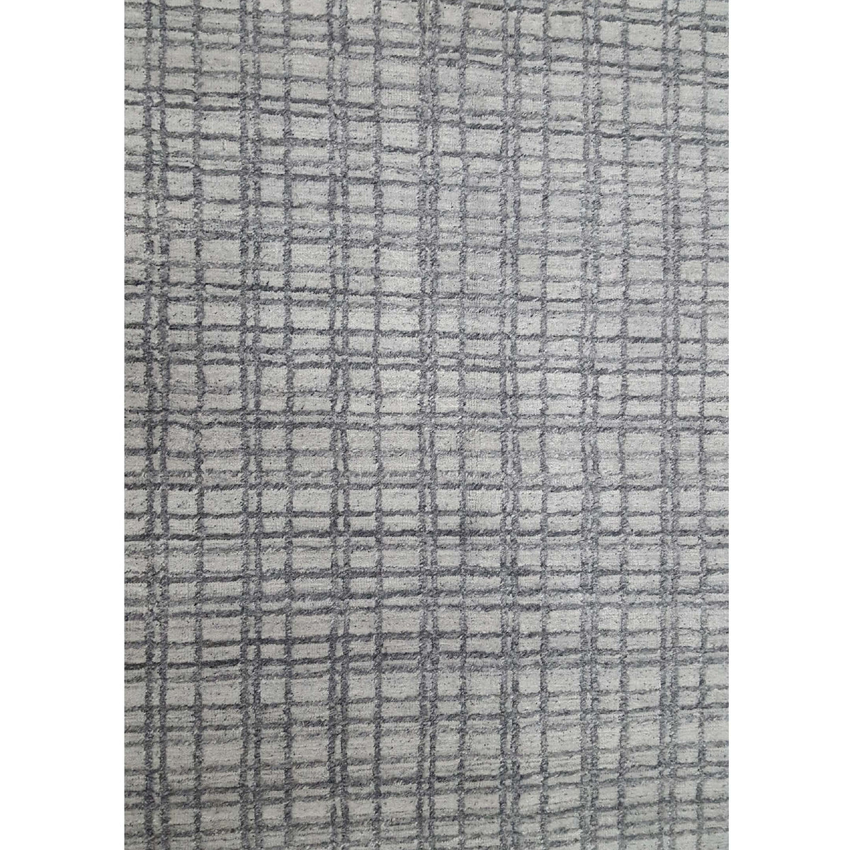Aira Marion LH-01BG Beige Grey Transitional Hand Loom Rug
