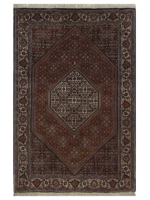 Bijar Hand Knotted Rust 3x5